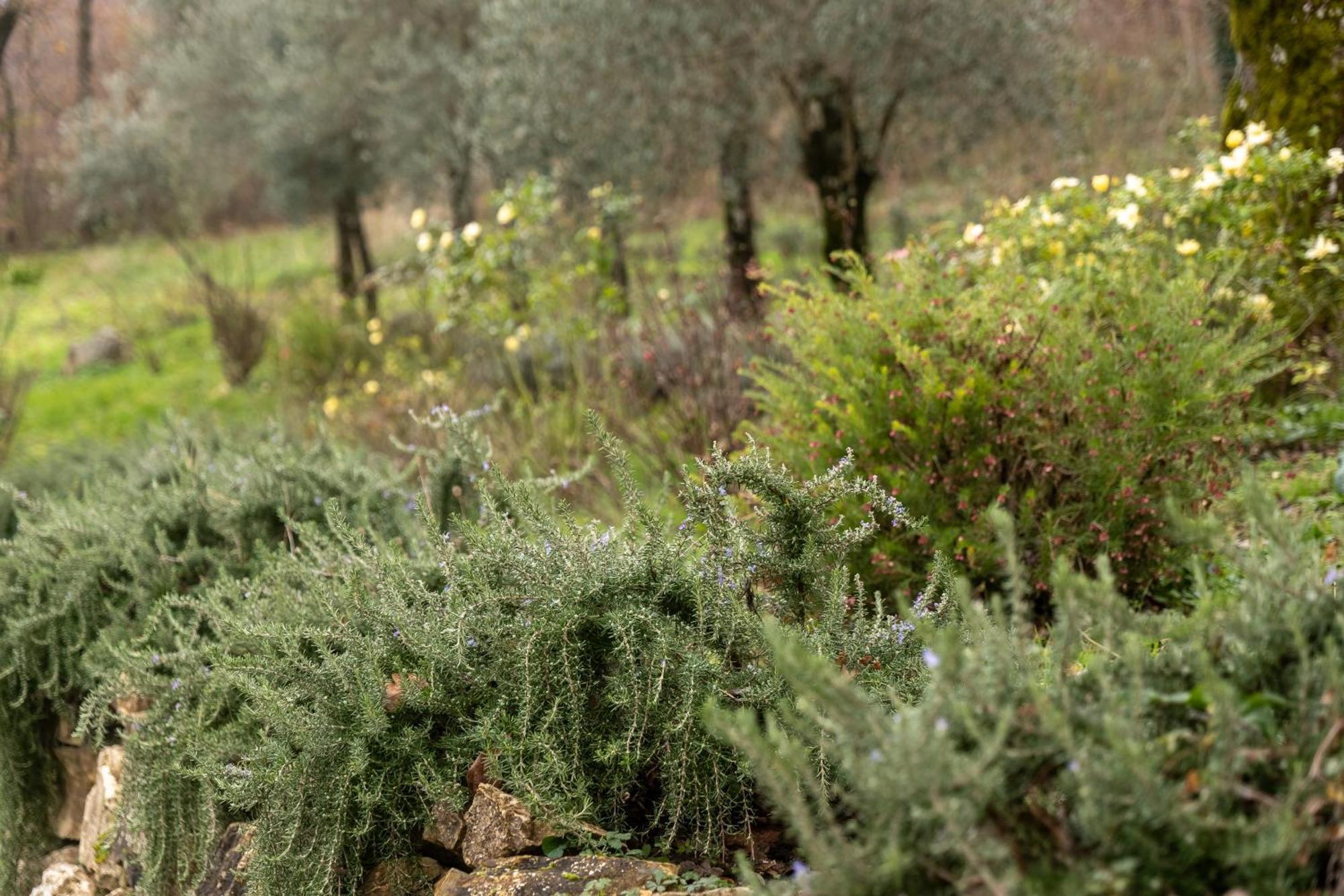 Masseria Boutique B&B Montella Eksteriør billede